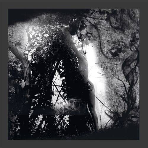 Tears of a Rough Machine cover art