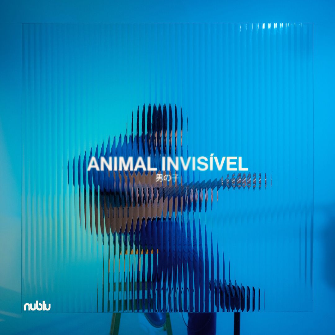 Animal Invisivel cover art