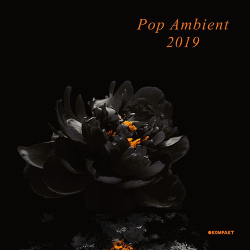 Pop Ambient 2019 cover art