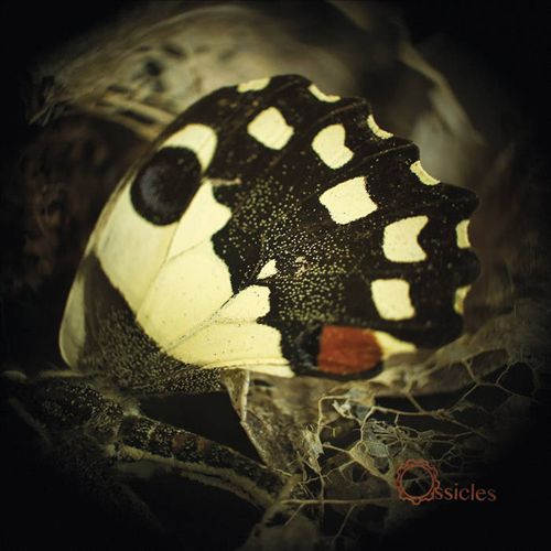 Music for Wastelands cover art