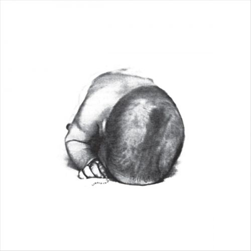 Liquid Idiot/Idiot Orchestra [LP] cover art