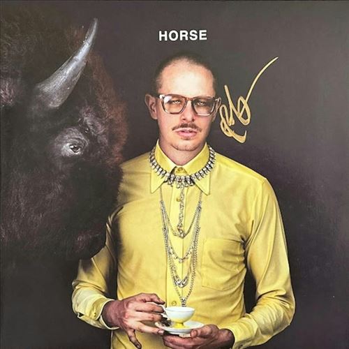 Horse cover art