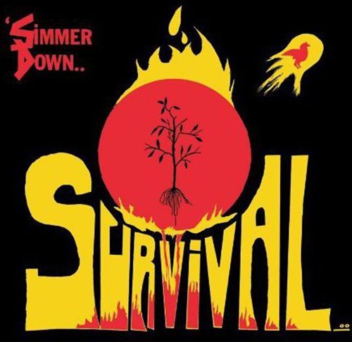 Simmer Down cover art