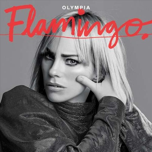 Flamingo cover art