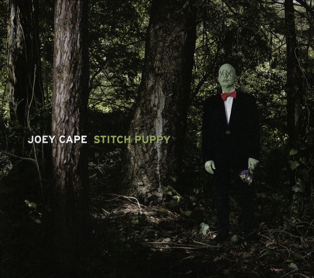 Stitch Puppy cover art