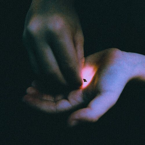 Stray cover art