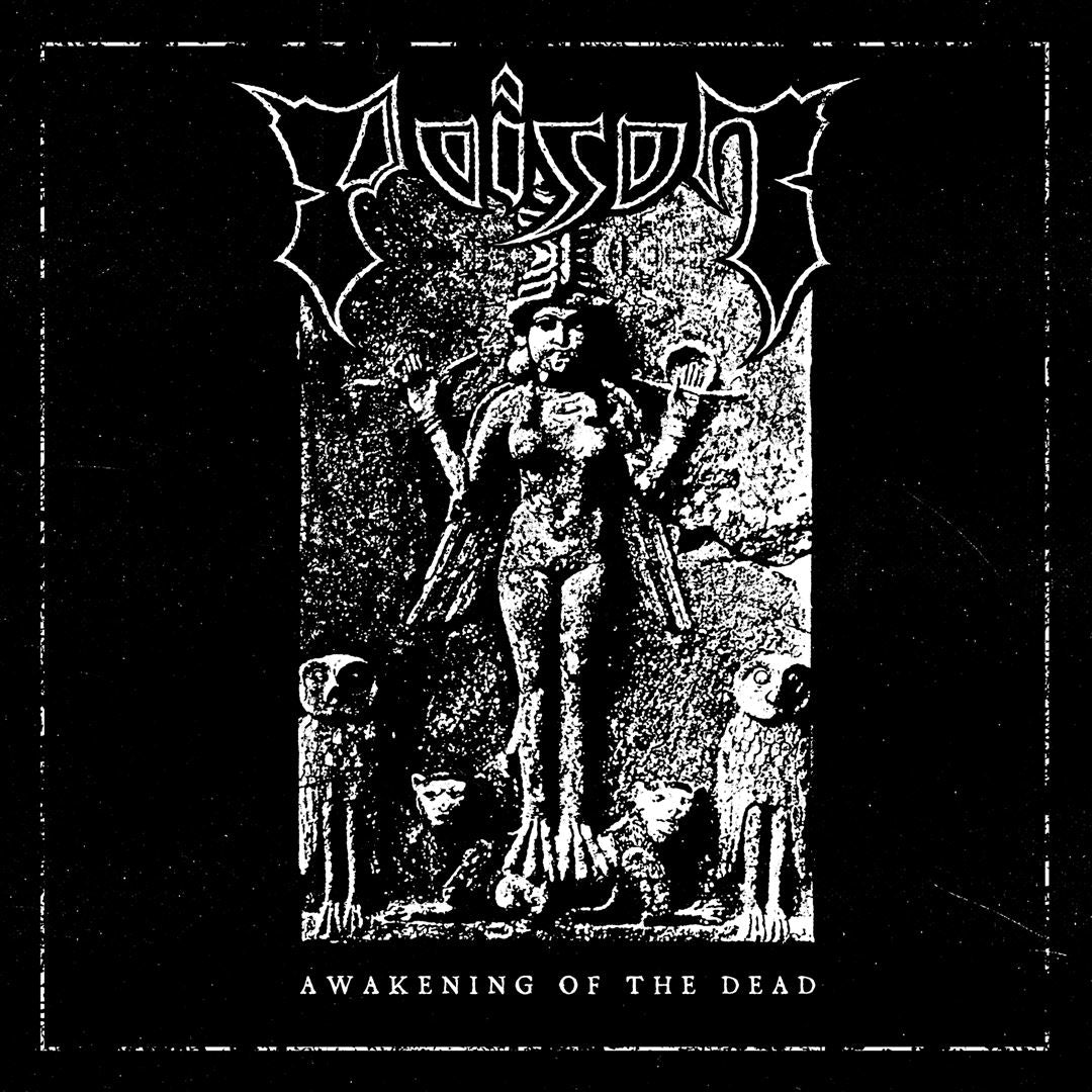Awakening of the Dead cover art