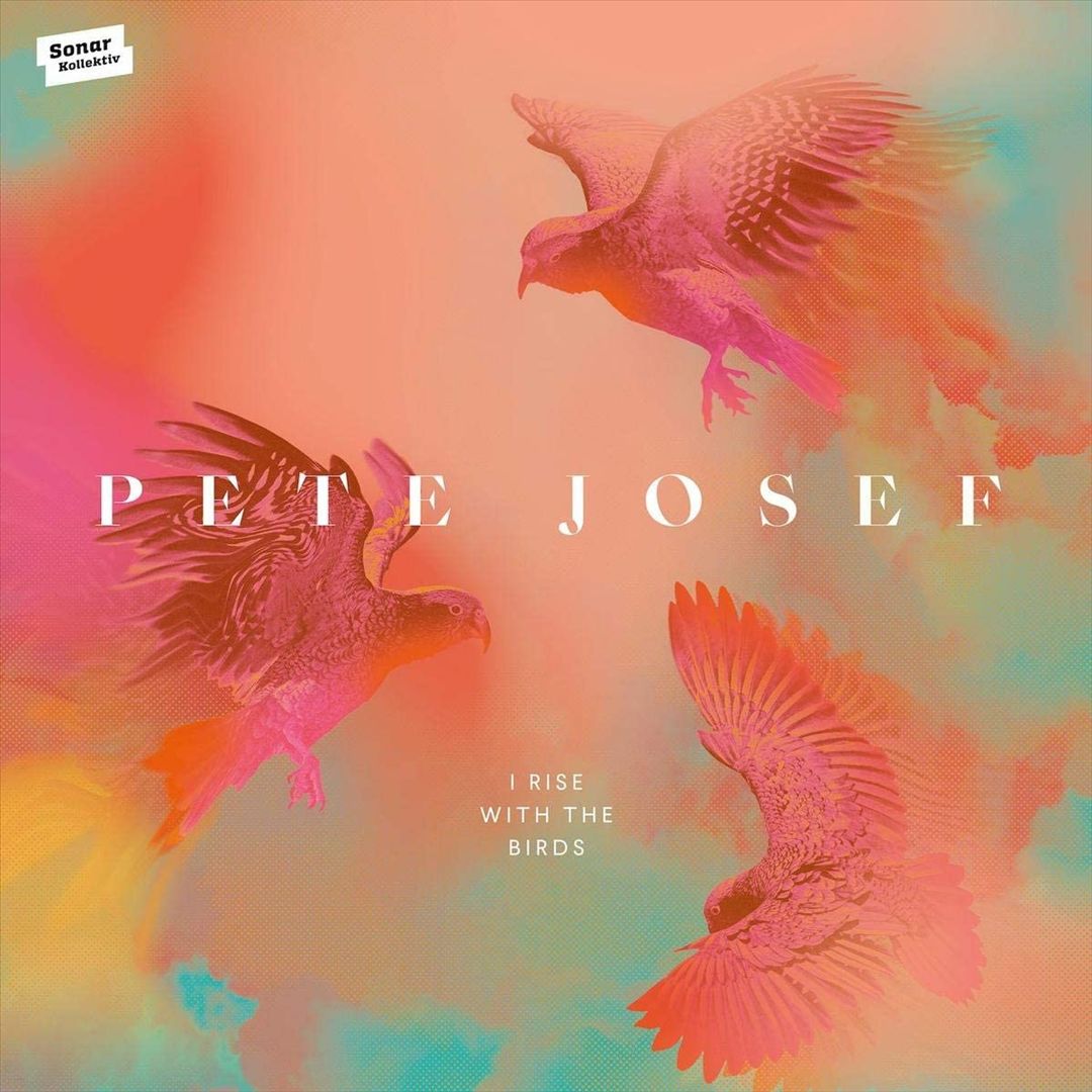 I Rise With the Birds cover art