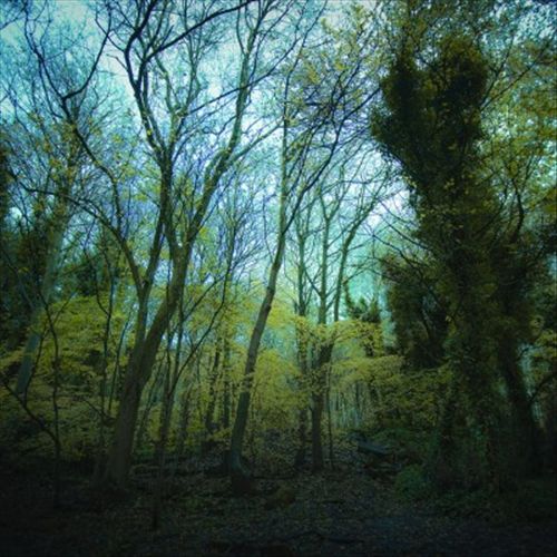 Time Lapse cover art