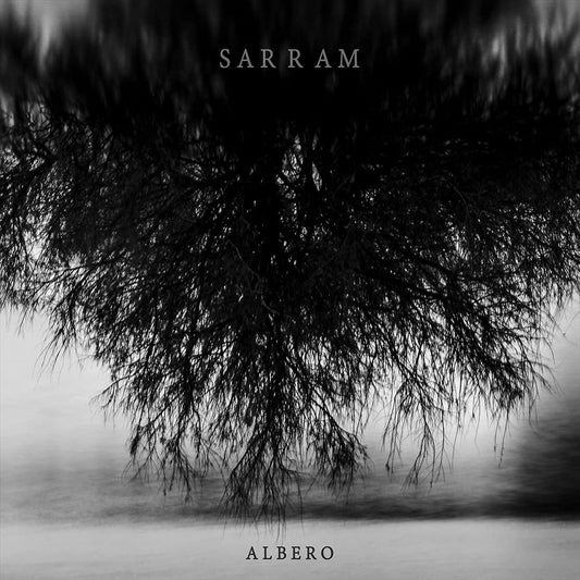 Albero cover art
