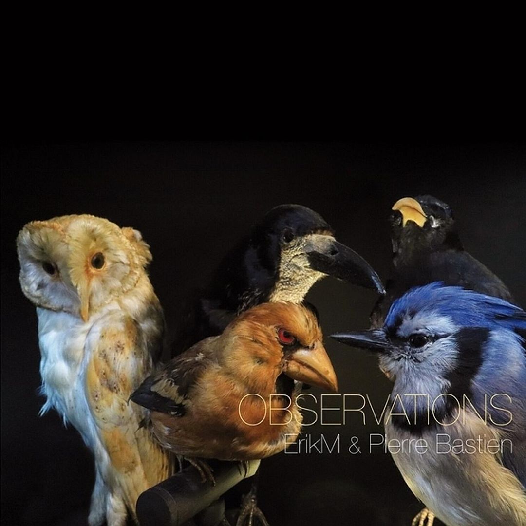 Observations cover art