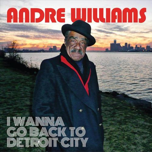 I Wanna Go Back to Detroit City cover art