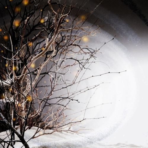 Winterlight cover art