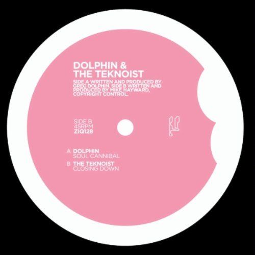 Dolphin & The Teknoist cover art