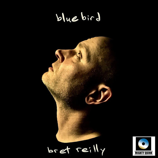 Bluebird cover art
