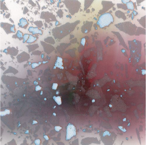 Expanding Program cover art