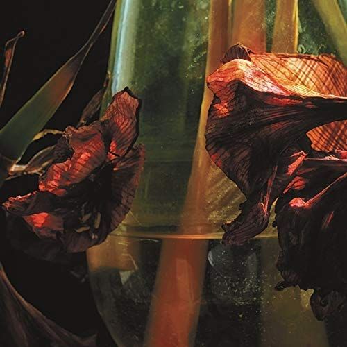 Psychedelia in Times of Turbulence [Three-Colored Vinyl] cover art