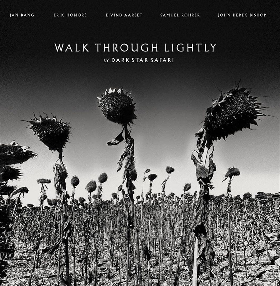 Walk Through Lightly cover art