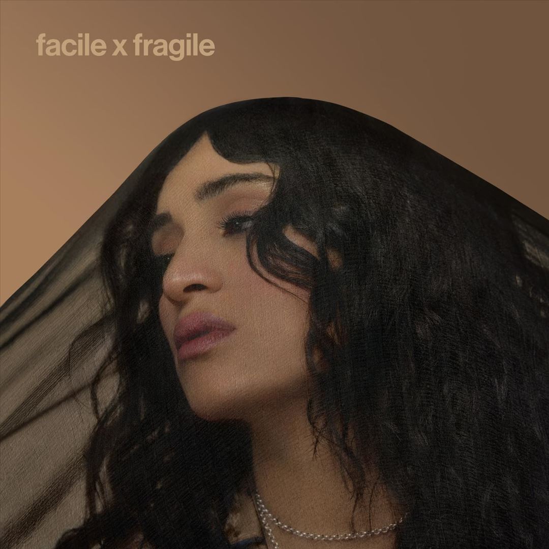 Facile x Fragile cover art