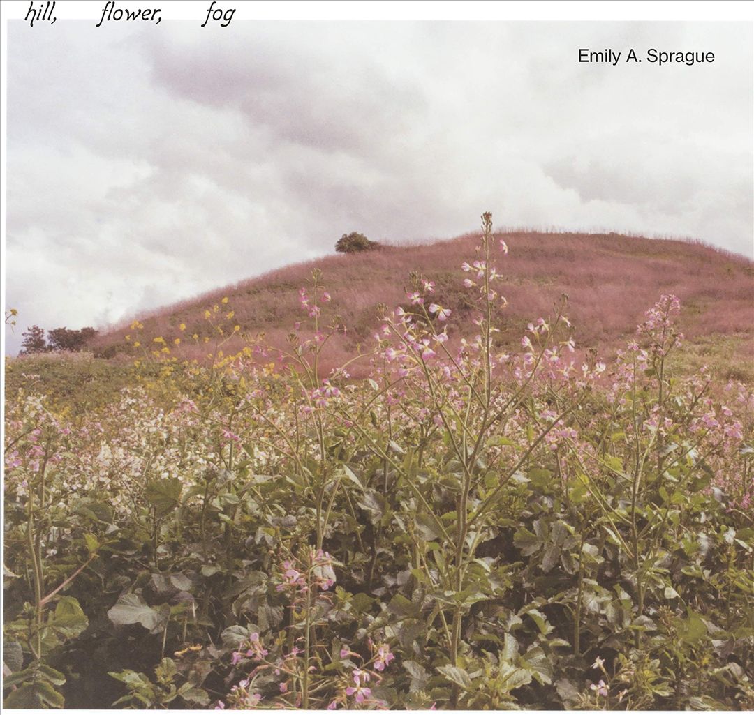Hill, Flower, Fog cover art