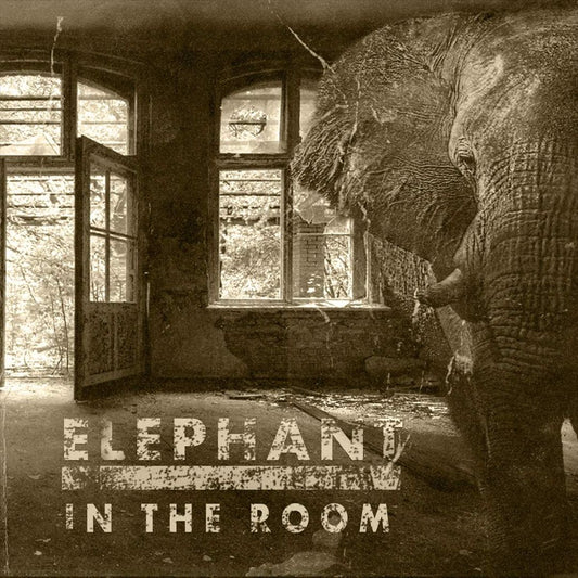 Elephant in the Room cover art