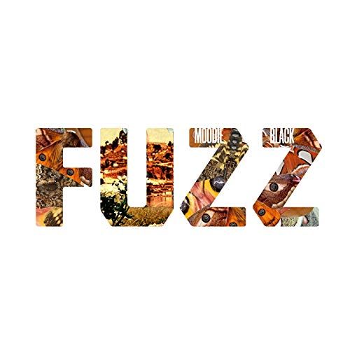 Fuzz cover art