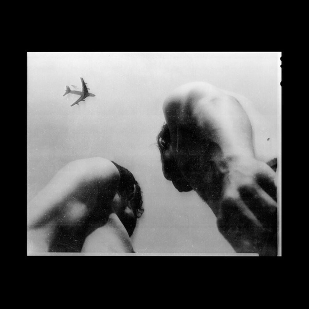 Metal Bird cover art