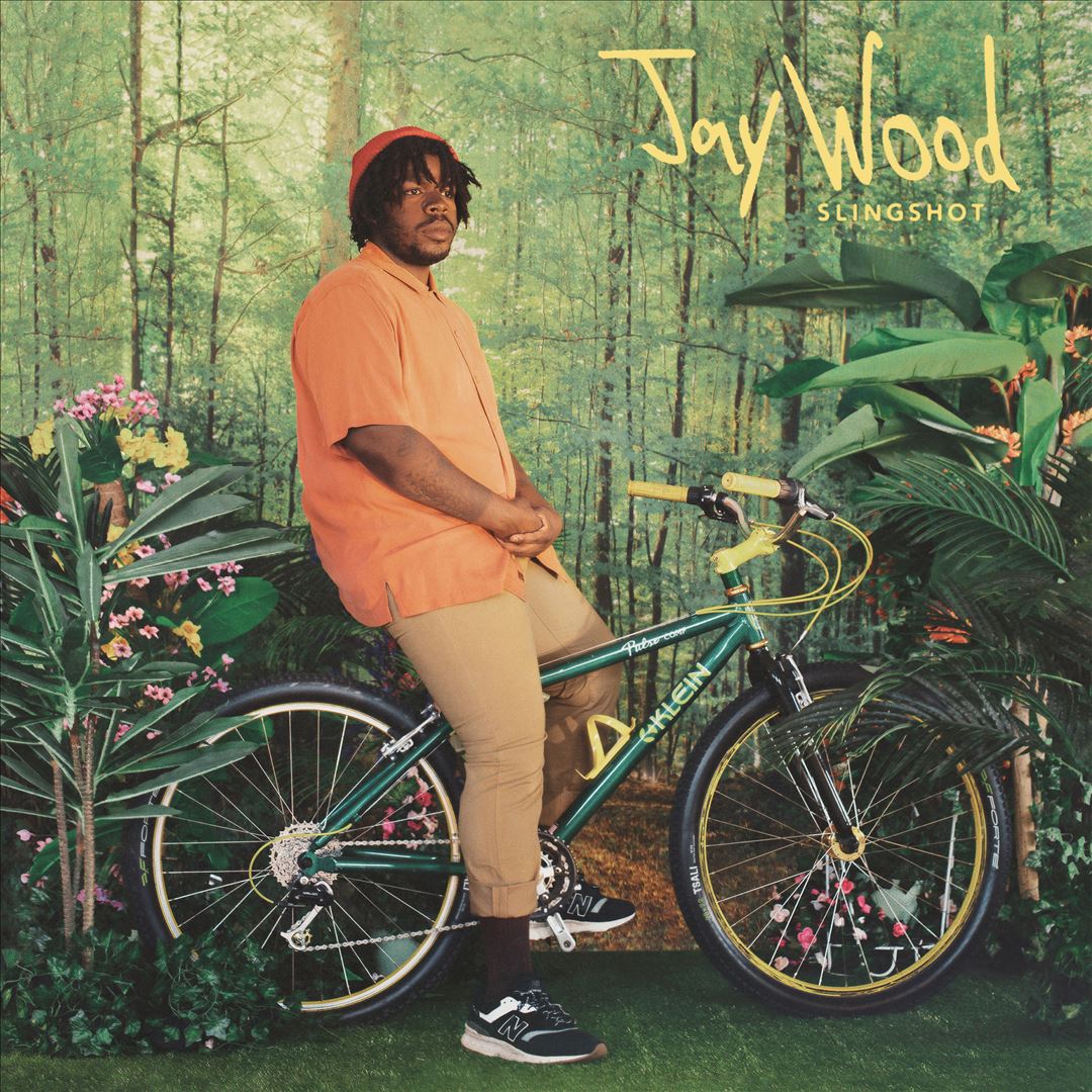 Slingshot cover art