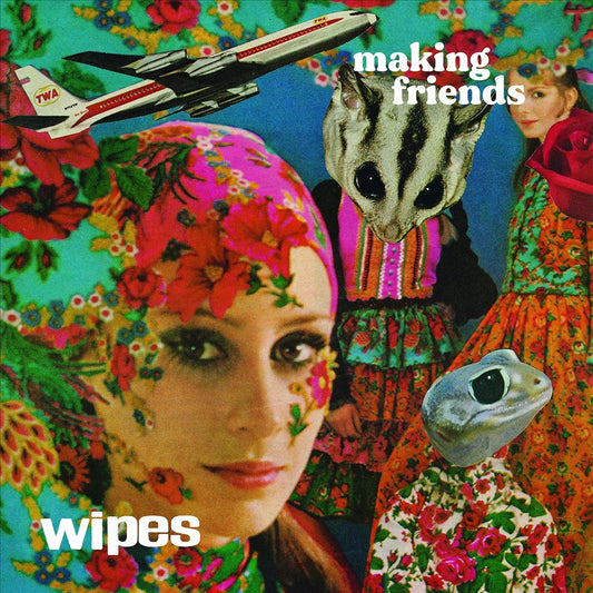 Making Friends cover art