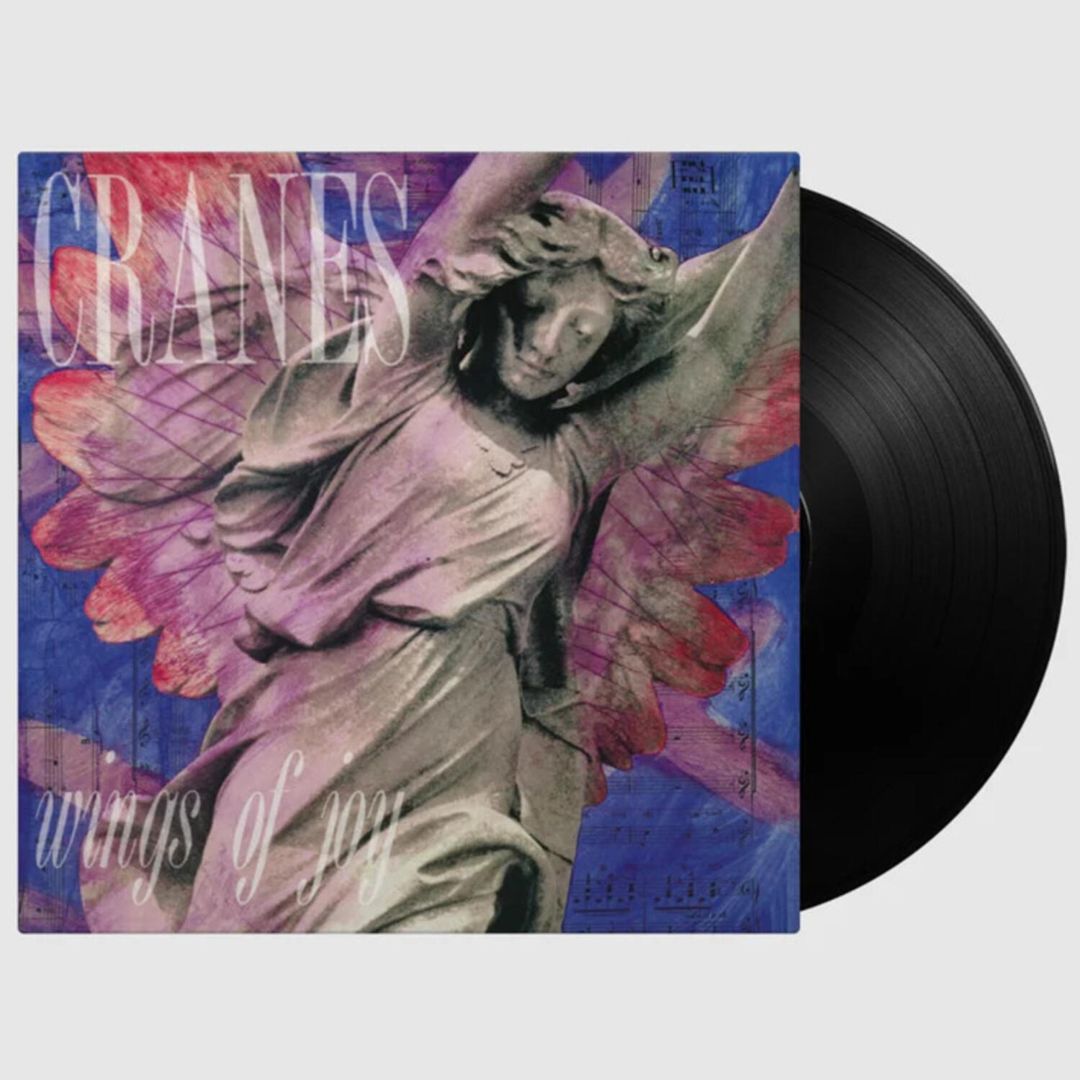 Wings of Joy cover art
