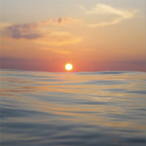 K2O [Bonus Track] cover art