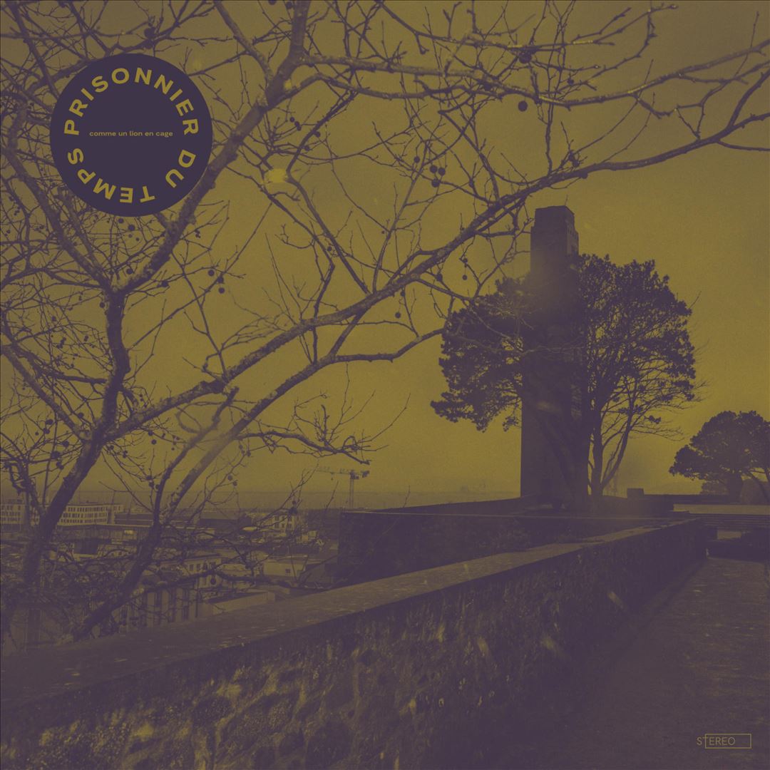 Comme un Lion en Cage cover art