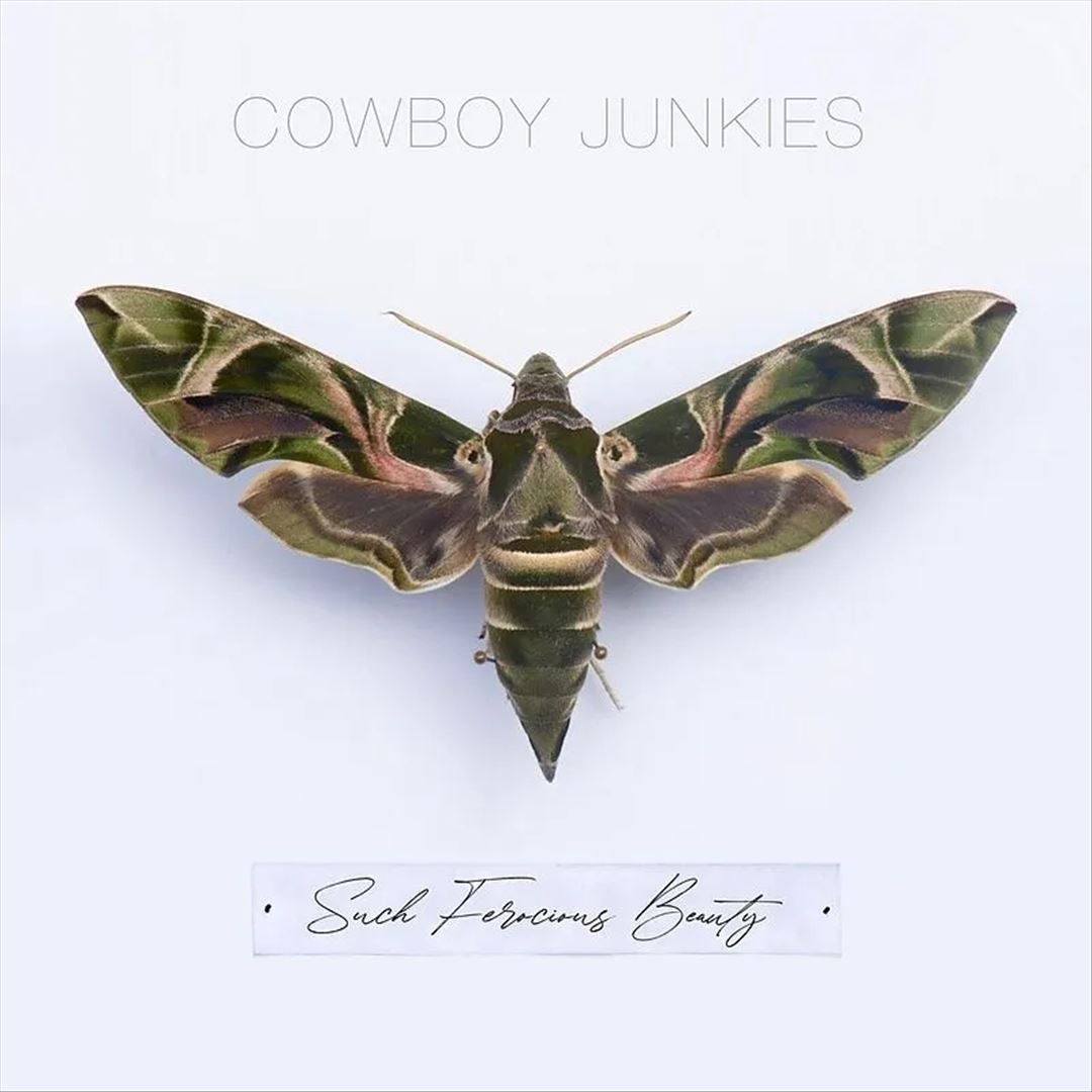 Such Ferocious Beauty cover art