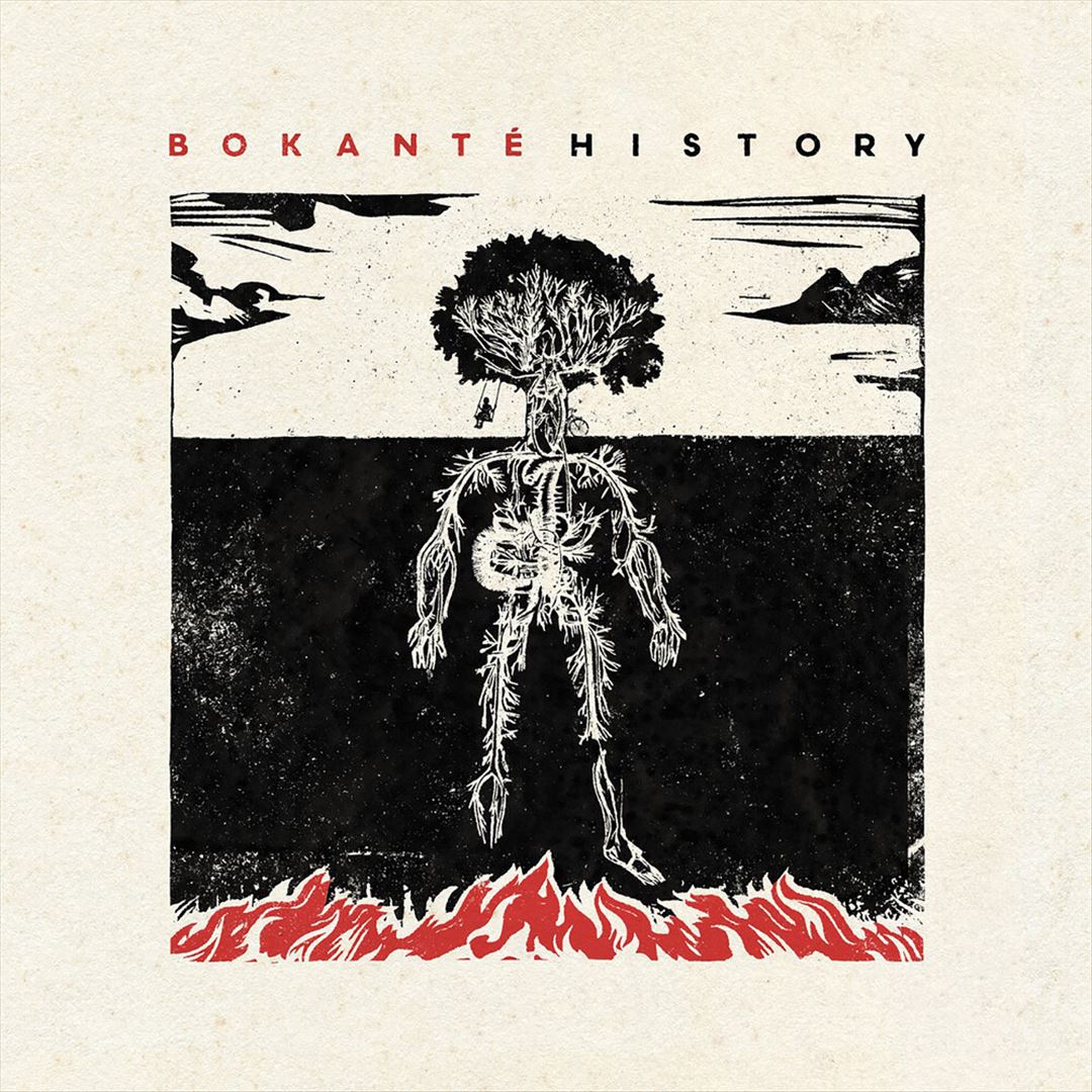 History cover art