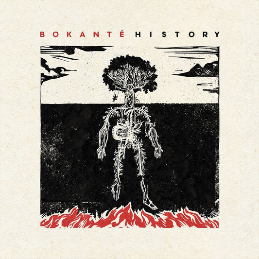 History cover art