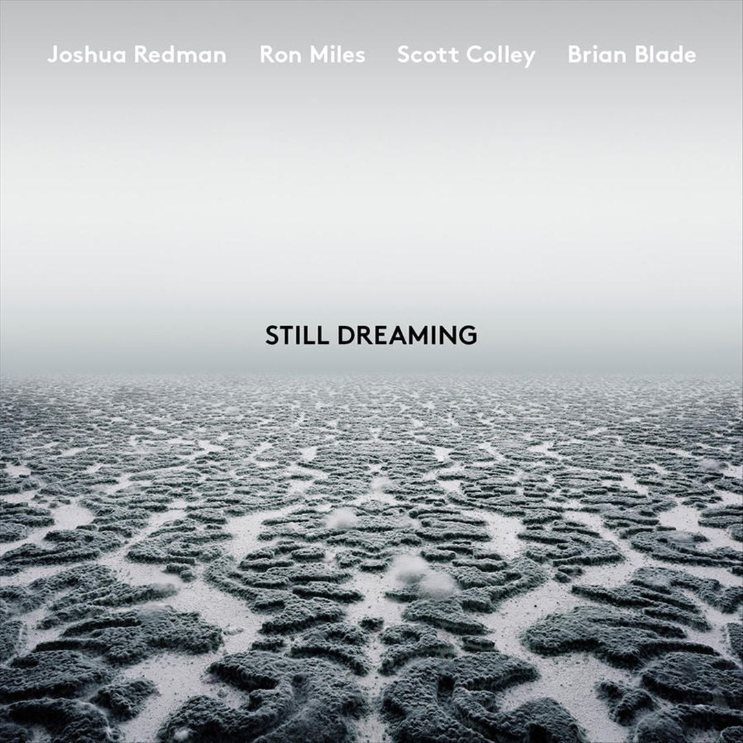 Still Dreaming cover art