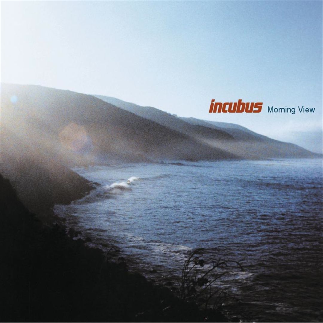Morning View [LP] cover art