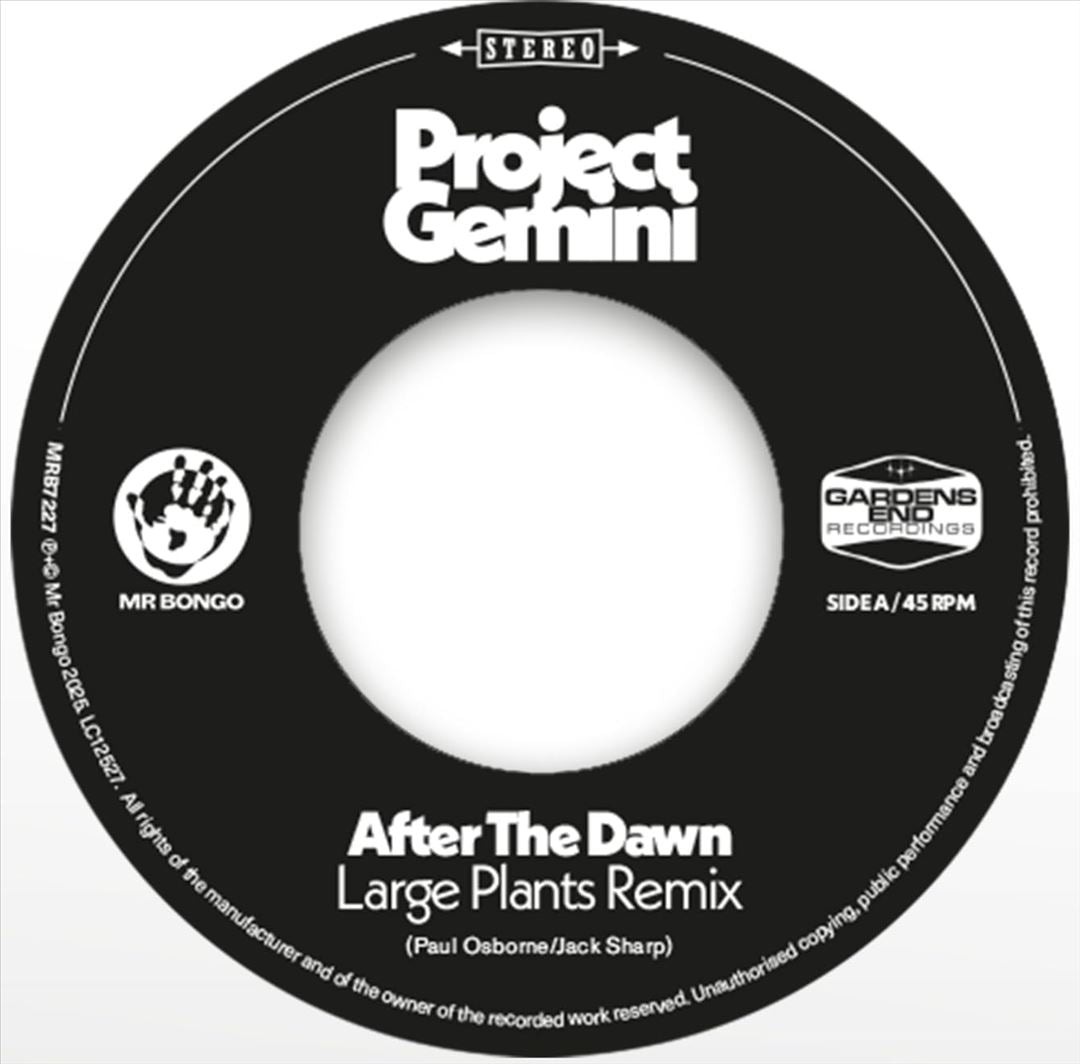 After the Dawn - Large Plants cover art