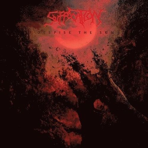Despise the Sun cover art