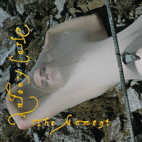 Moment cover art