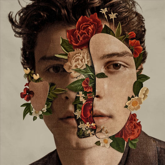 Shawn Mendes cover art