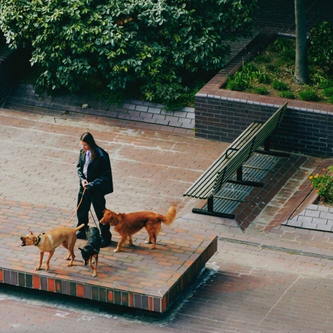 Way Back Home cover art