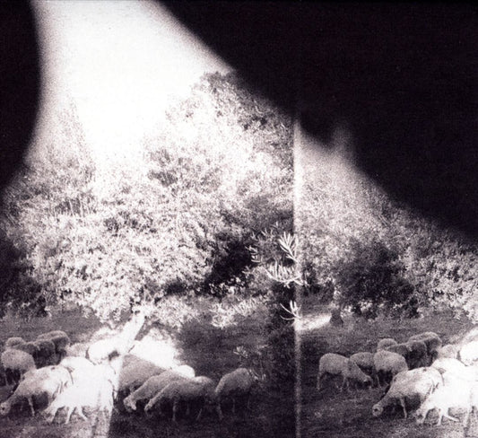 Asunder, Sweet and Other Distress cover art