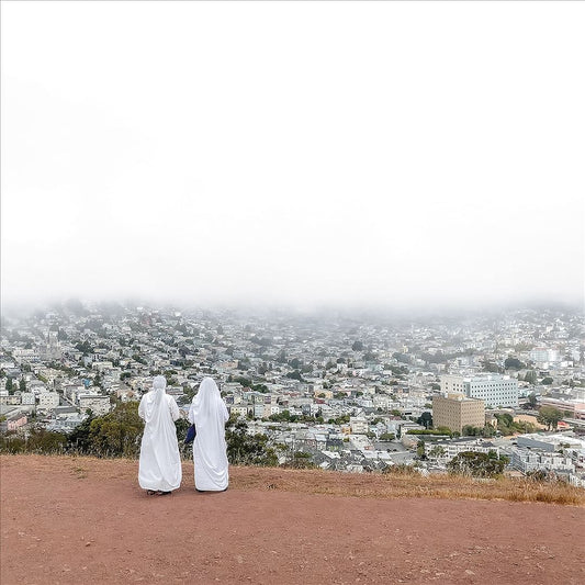 Asphalt Meadows cover art