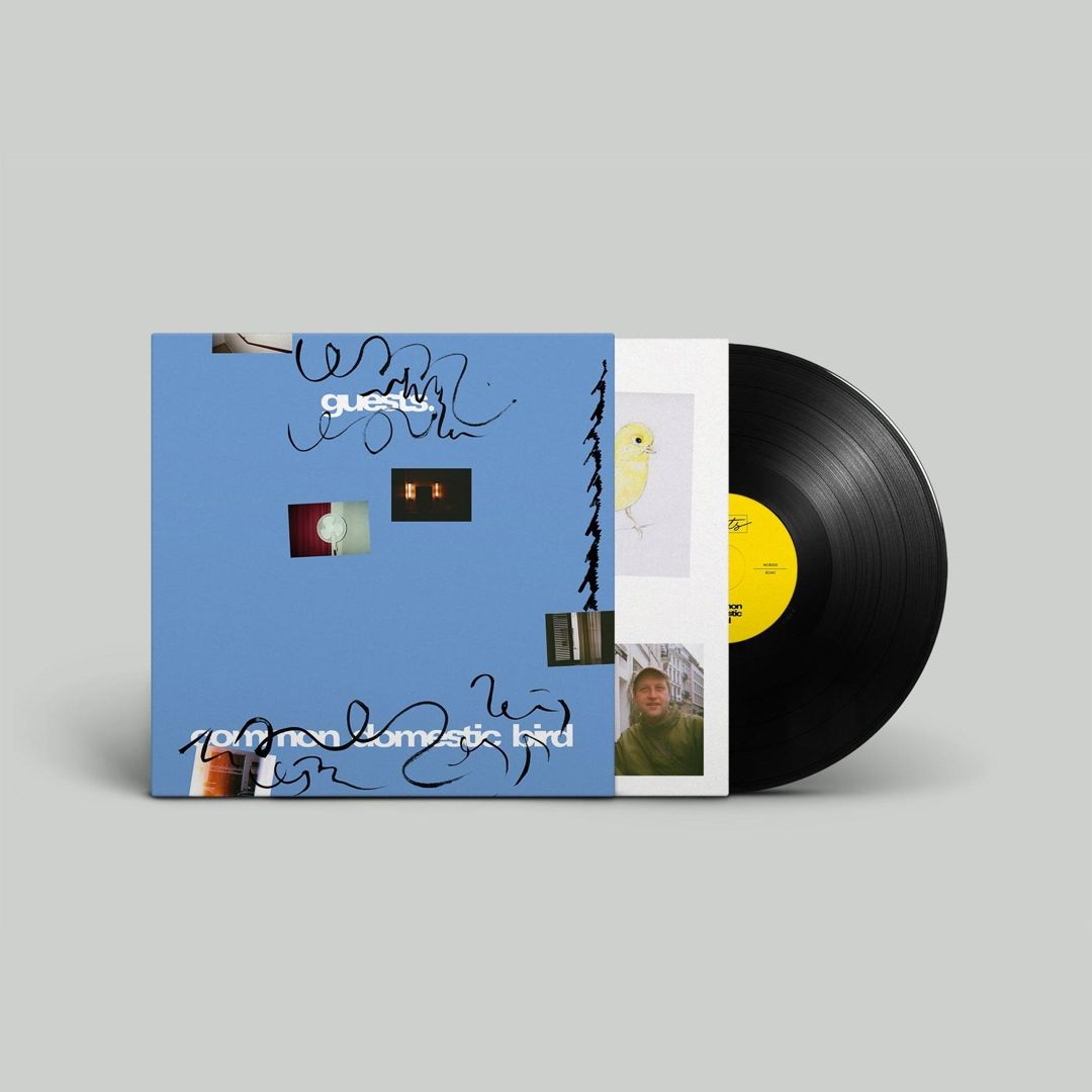 Common Domestic Bird cover art