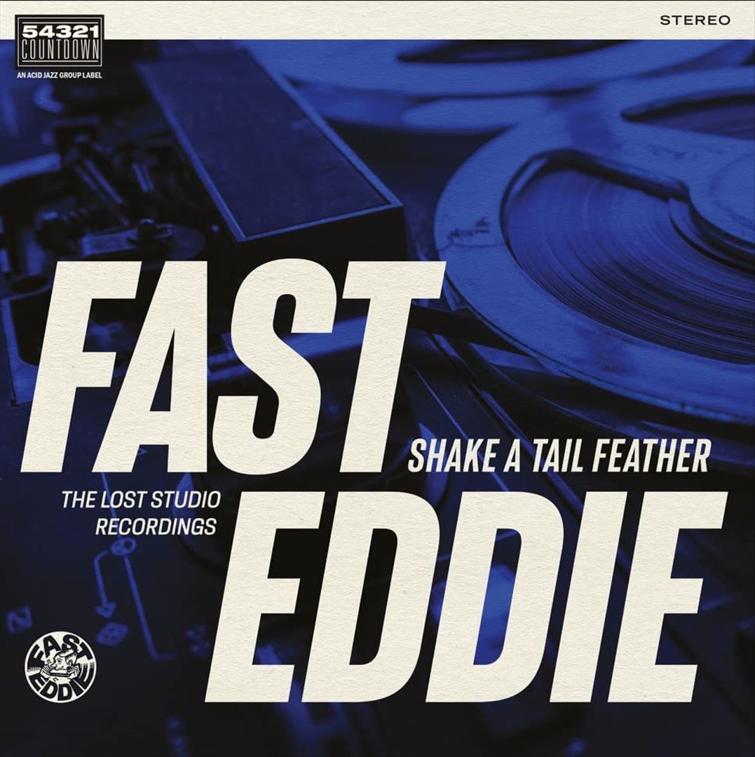 Shake a Tail Feather cover art