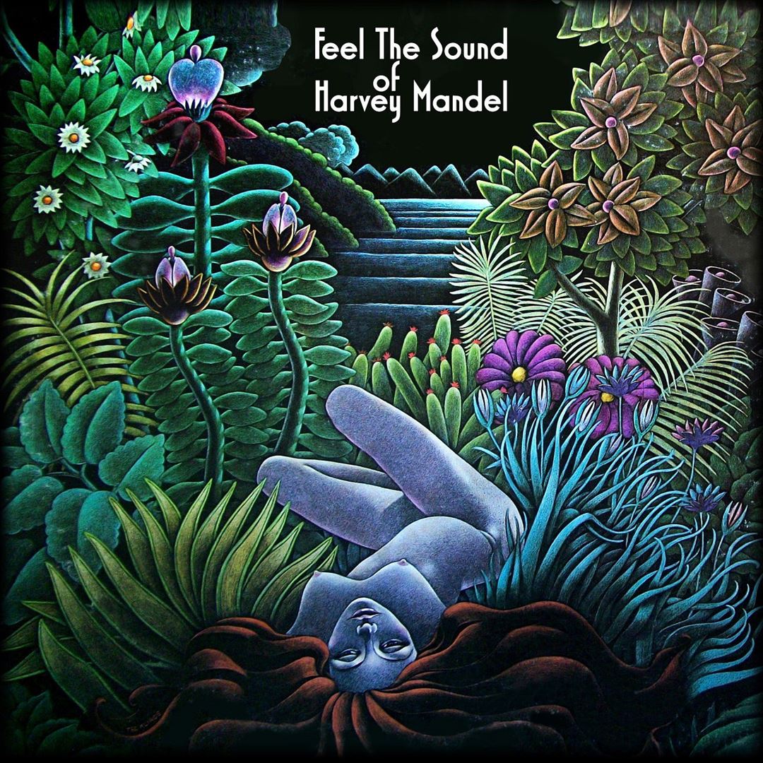 Feel the Sound of Harvey Mandel cover art