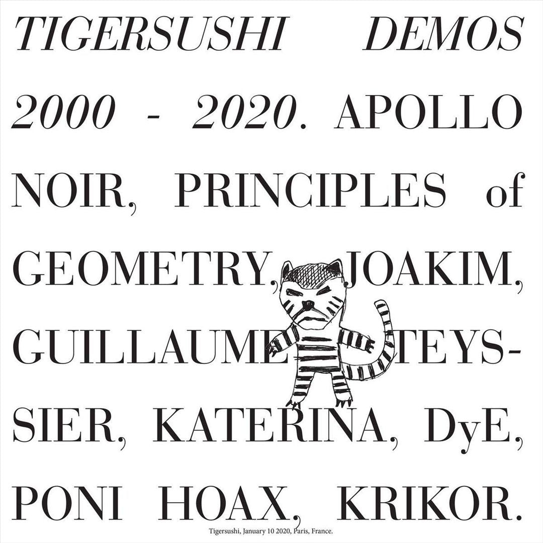 Tigersushi Demos 2000-2020 cover art