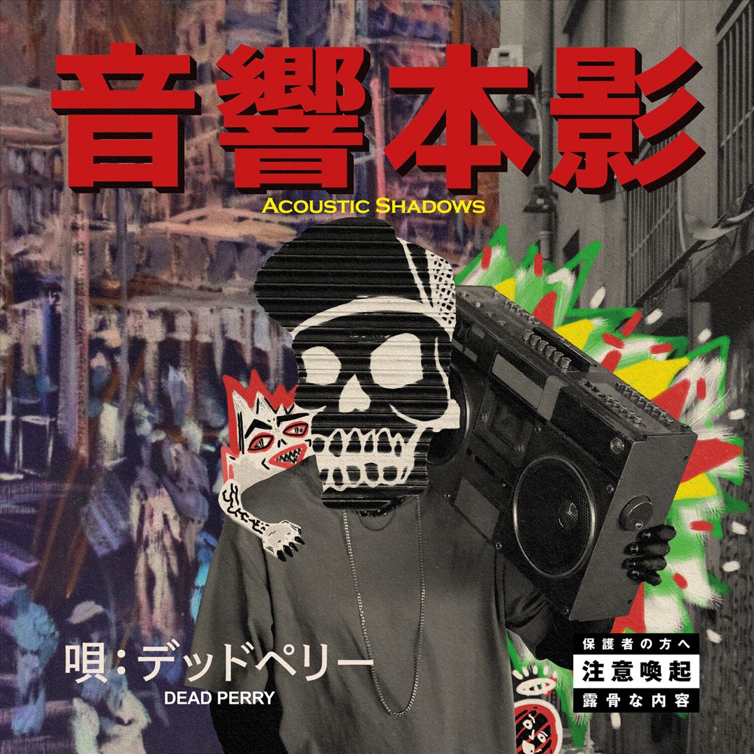 Acoustic Shadows cover art