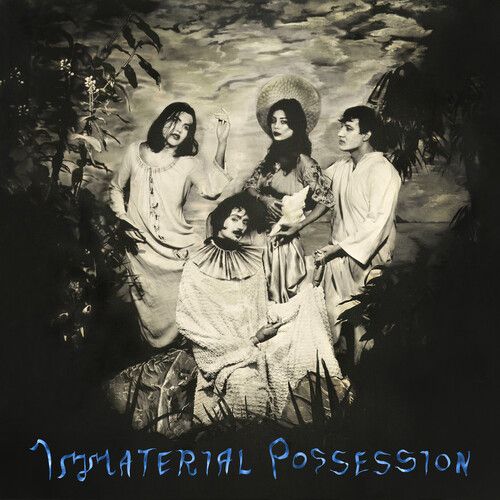 Immaterial Possession cover art
